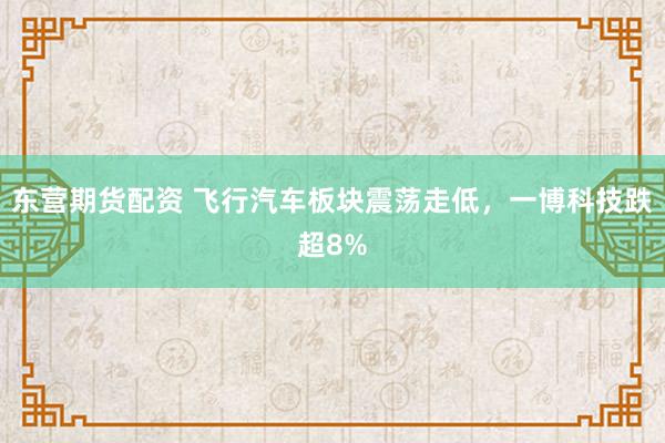 东营期货配资 飞行汽车板块震荡走低，一博科技跌超8%