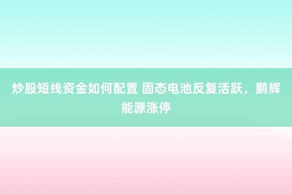 炒股短线资金如何配置 固态电池反复活跃，鹏辉能源涨停