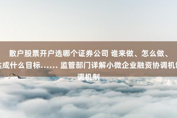 散户股票开户选哪个证券公司 谁来做、怎么做、达成什么目标…… 监管部门详解小微企业融资协调机制
