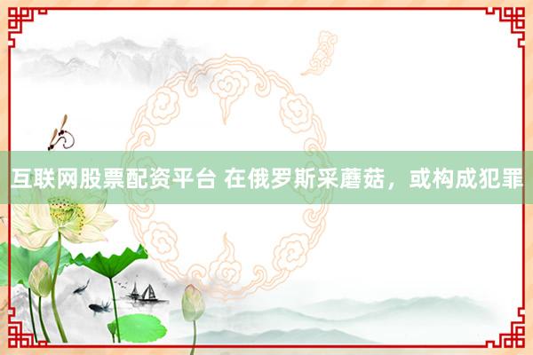 互联网股票配资平台 在俄罗斯采蘑菇，或构成犯罪