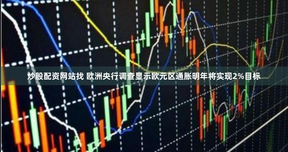 炒股配资网站找 欧洲央行调查显示欧元区通胀明年将实现2%目标